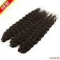 Synthetic Curly Hair 24 Inch Water Wave - Synthetic Braiding Hair(for