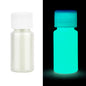 20/30g Fluorescent Pigment Long-Lasting Luminous Paints Auto Glow Glow