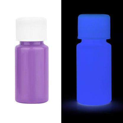 20/30g Fluorescent Pigment Long-Lasting Luminous Paints Auto Glow Glow