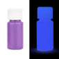 20/30g Fluorescent Pigment Long-Lasting Luminous Paints Auto Glow Glow