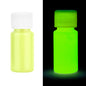 20/30g Fluorescent Pigment Long-Lasting Luminous Paints Auto Glow Glow