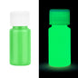 20/30g Fluorescent Pigment Long-Lasting Luminous Paints Auto Glow Glow