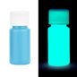 20/30g Fluorescent Pigment Long-Lasting Luminous Paints Auto Glow Glow