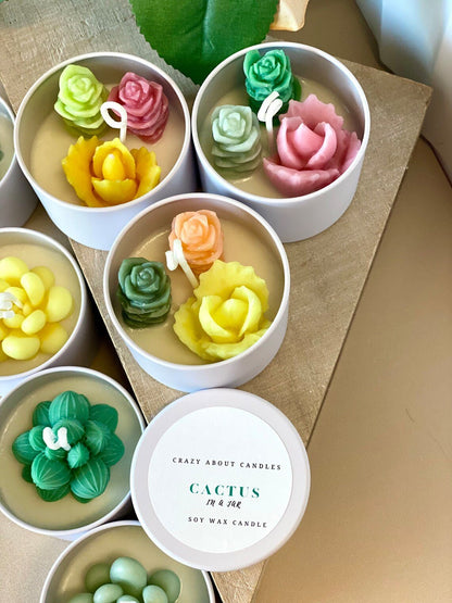Cactus Jar Candle | Handmade Aroma Bliss