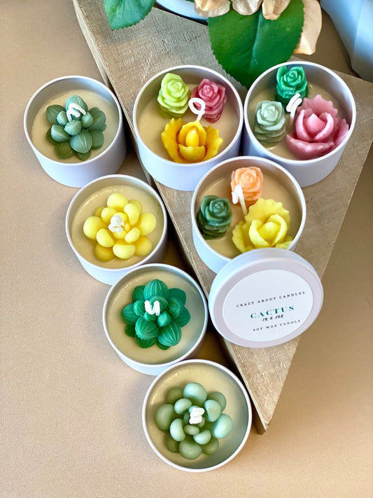 Cactus Jar Candle | Handmade Aroma Bliss